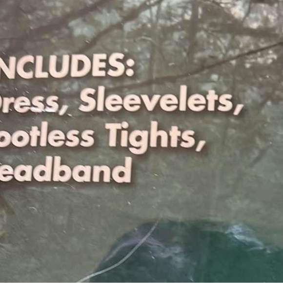 Girls Size Large 12-14 Day of the Dead Costume New Old Stock Spirit Halloween - Picture 4 of 7